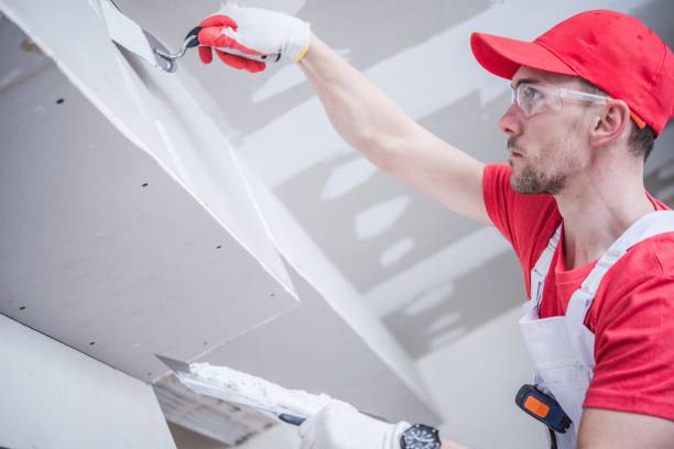 Best Water-Damaged Drywall Repair  in Biltmore, TN